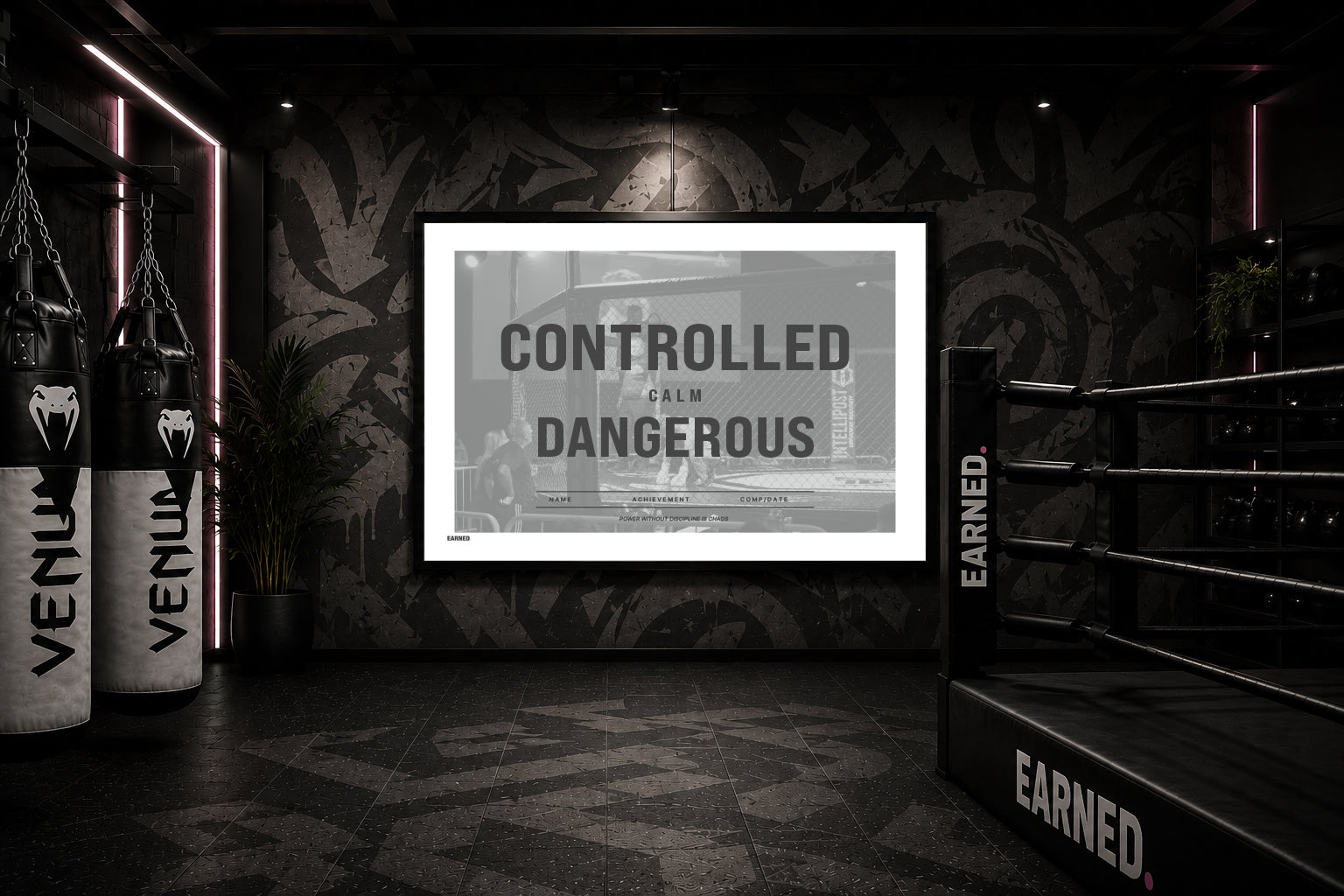 CONTROLLED. Calm Dangerous